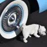 Como o xixi de um cachorro pode impactar no funcionamento do seu carro